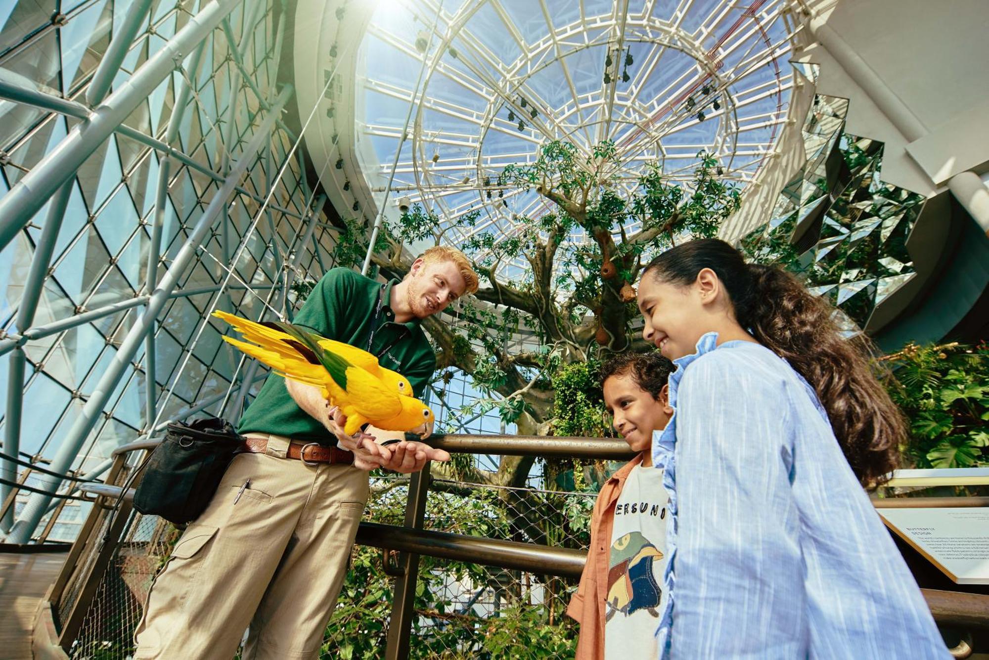 迪拜城市漫步傲途格精选酒店 外观 照片 The Aviary